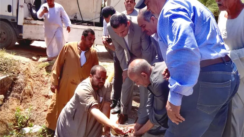 ٢٥٠ ألف زريعة سمكية من المبروك الفضى بنيل الأقصر