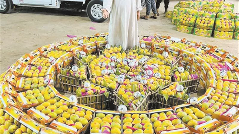 أسعار المانجو في النازل .. والغلابة أول الزبائن