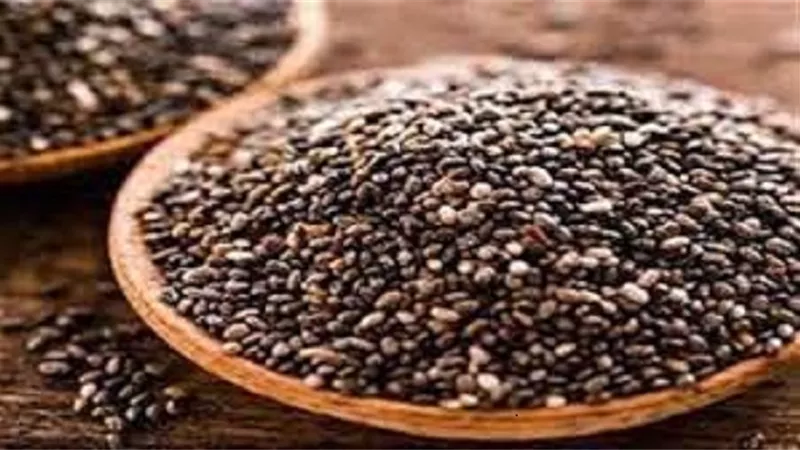 مخاطر تناول كميات كبيرة من بذور الشيا