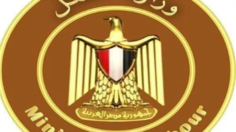 وزارة العمل: تعيينات جديدة لذوي الهمم بمحافظة القاهرة.. بالأسماء