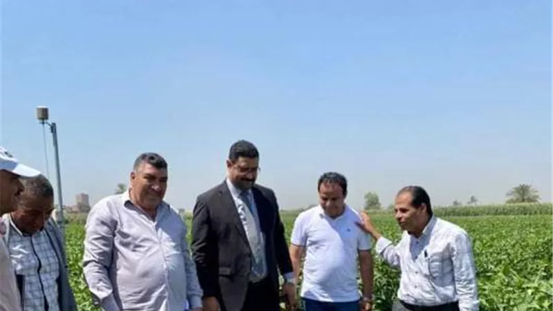 الاستعداد لاستقبال محصول فول الصويا بالمنيا