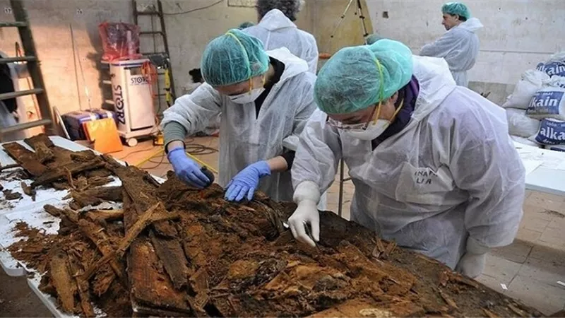 العثور على بقايا أضخم حوت في تاريخ الأرض ببيرو