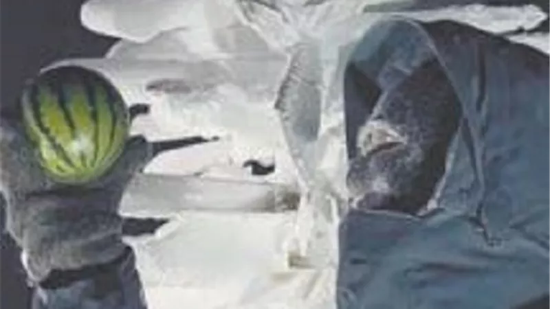 بطيخ القطب الجنوبي