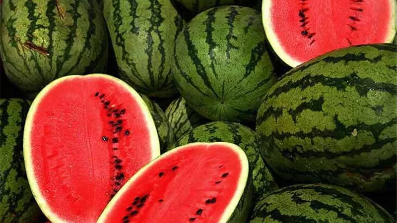 ةتعرف على طريقة سهلة لاخيار البطيخ الناضج