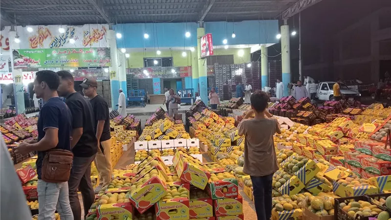 22 جنيه للكيلو ..أسواق الإسماعيلية تتزين بمحصول المانجو..صور