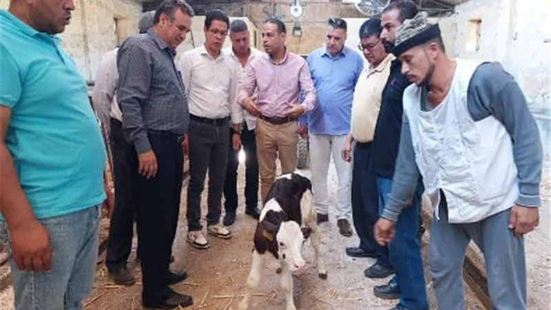 الجيزاوي يتفقد المزارع بكليتى الزراعة والطب البيطرى بمشتهر .. صور