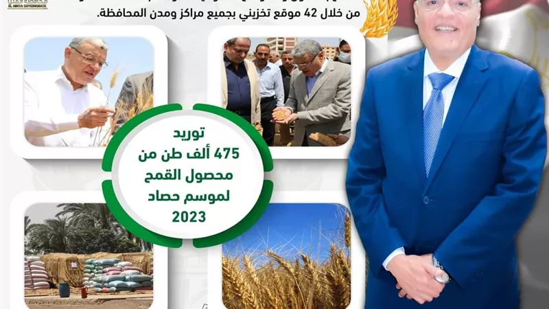 شون وصوامع المنيا تواصل استقبال القمح وتوريد ٤٧٥ألف طن