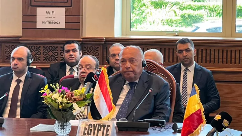 شكري: خطة التحرك لحل أزمة السودان توزع المهام على وزراء الآلية الثلاثية