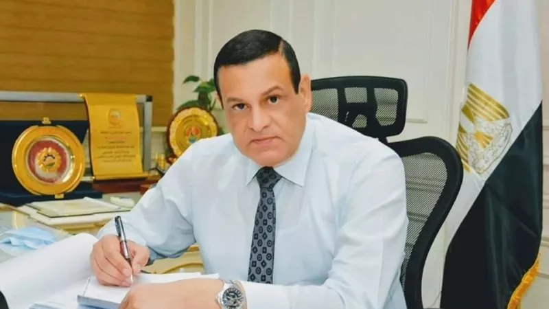 التنمية المحلية: