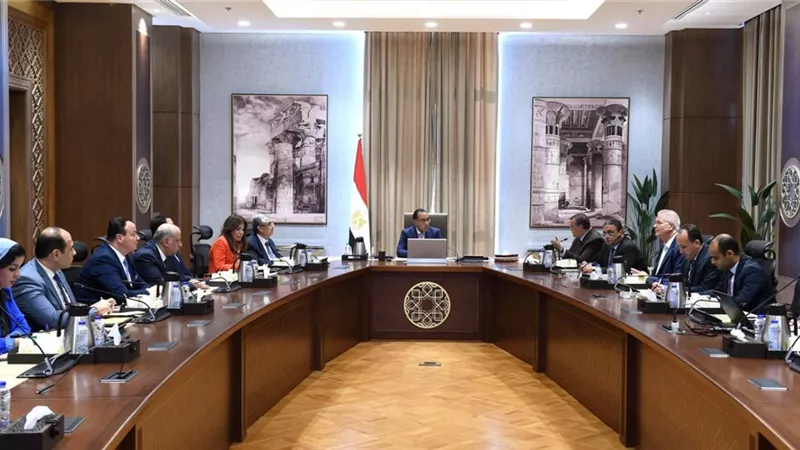 رئيس الوزراء يستعرض مشروع إقامة محطة عملاقة للهيدروجين الأخضر