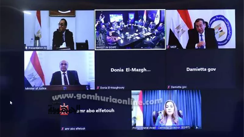تأسيس أول شركة إلكترونياً بالمنطقة الحرة بدمياط