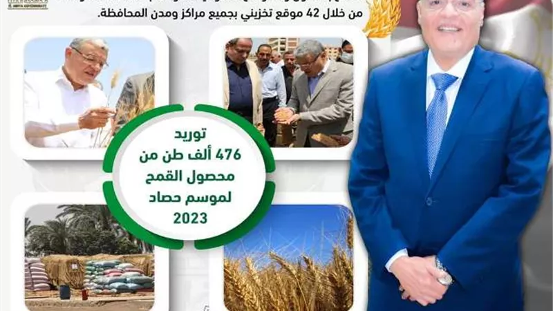 شون وصوامع المنيا تواصل استقبال القمح وتوريد 476 ألف طن بالمحصول