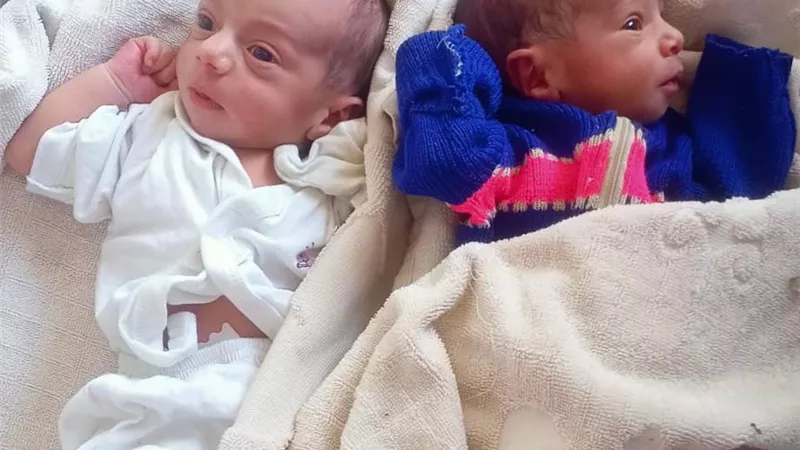 العثور على طفلين حديثي الولادة في أبوعطوة بالإسماعيلية