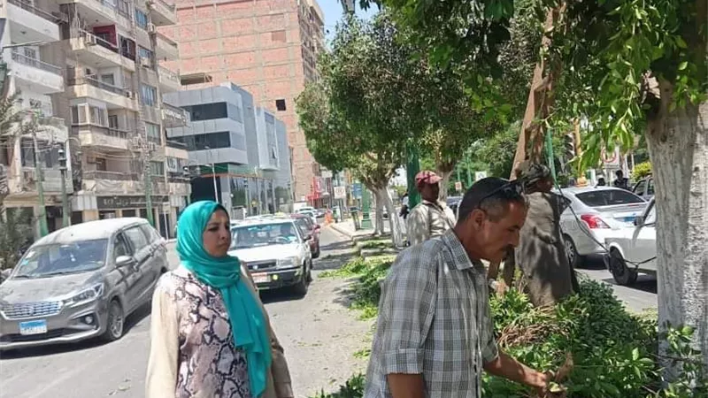 صيانة اعطال الكهرباء بقرية بنى محمد وتهذيب الأشجار بكورنيش النيل