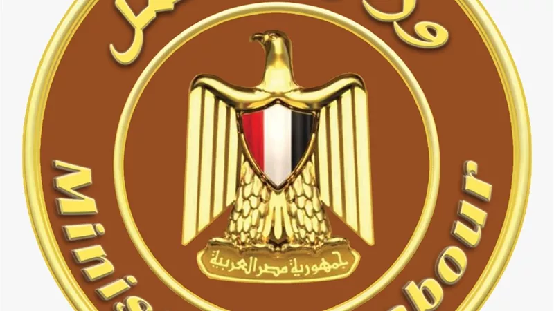 العمل تطلق التجربة الأولى للرصد الإلكتروني لسوق العمل الإقليمية بالأقصر وقنا