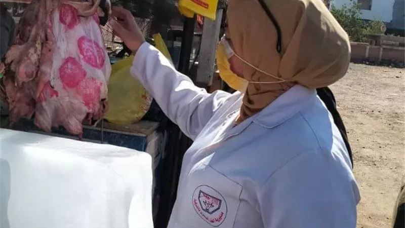 تحرير١٣ محضر وضبط١٠٠كجم لحوم ودجاج مخالفة بالشرقية