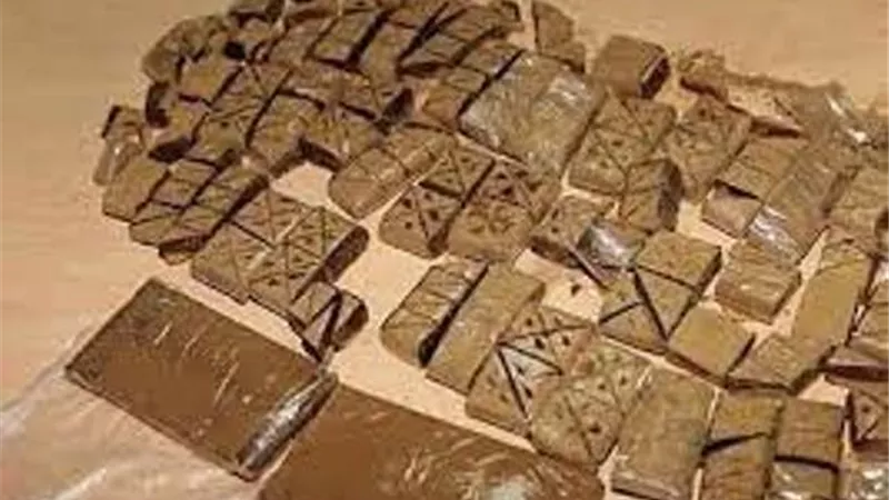 ضبط 9 أشخاص بحوزتهم 21.5 كجم من المخدرات قبل ترويجها بالقاهرة