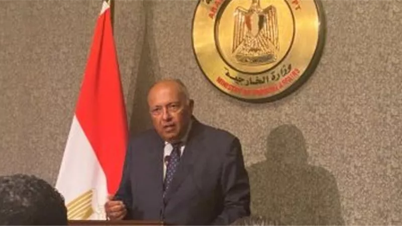 شكري: لجنة الاتصالات العربية ناقشت طرد المقاتلين الأجانب من سوريا