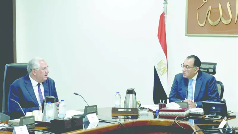 ٨ مليارات جنيه لتمويل المشروع القومى للبتلو