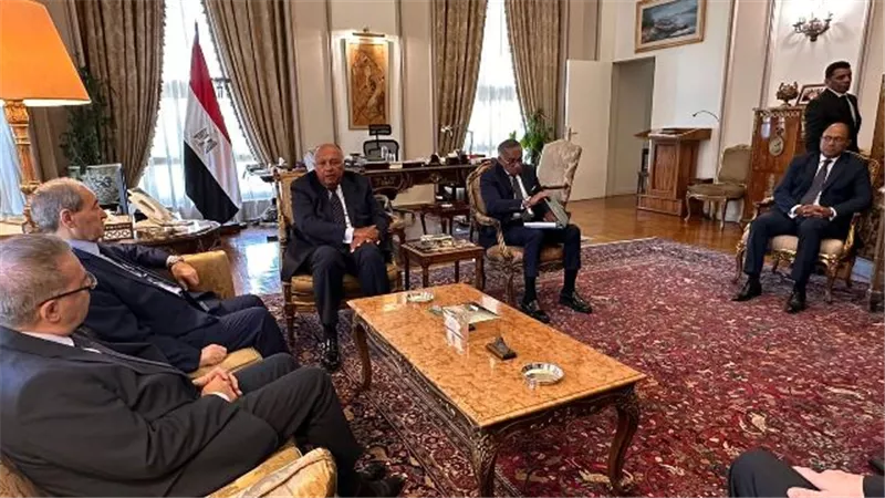 وزير الخارجية يستقبل نظيره السوري