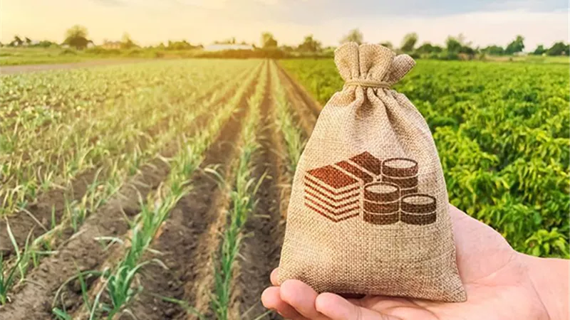 البنك الزراعي يقدم قروض للمزارعين بفائدة 5% مدعمة.. فيديو