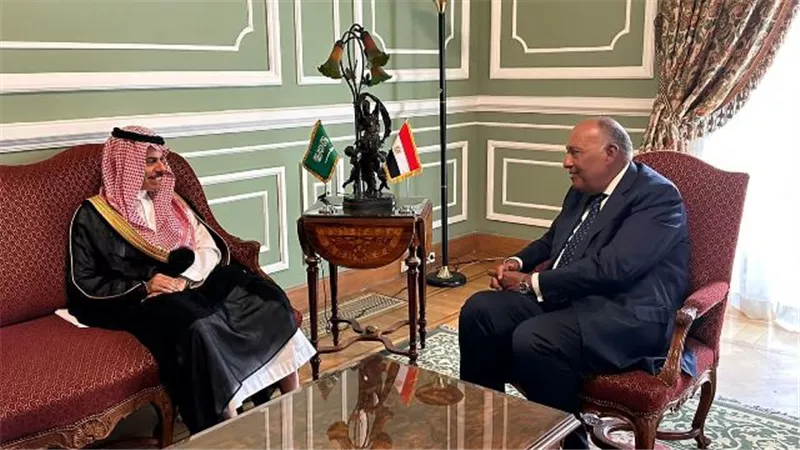 وزير الخارجية يبحث مع نظيره السعودي مختلف القضايا الإقليمية
