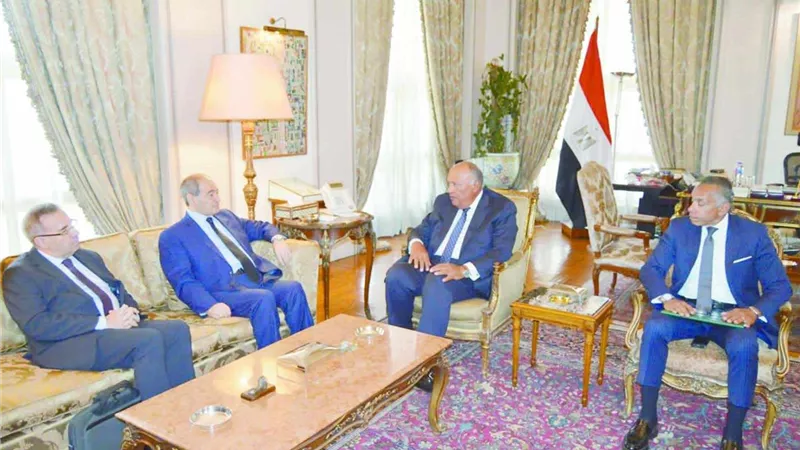 شكرى: تقديم العون للشعب السورى الشقيق لتجاوز محنته