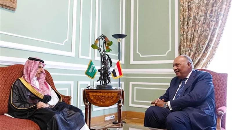 شكرى وبن فرحان يبحثان العلاقات الثنائية بين مصر والسعودية