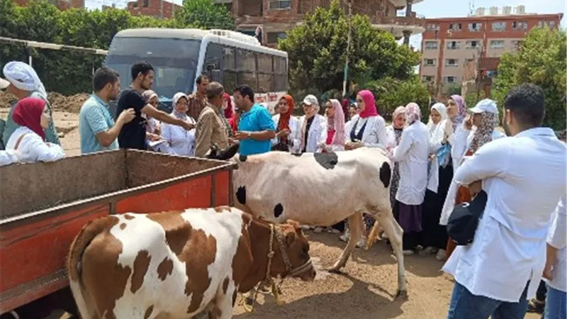 جامعة بنها تنظم قافلة بيطرية بقرية كفر عابد بطوخ.. صور