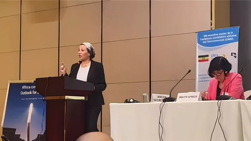 البيئة: ضرورة حصول الدول الأفريقية على ٢٠ مليار دولار