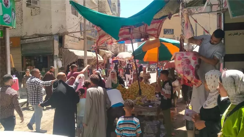 تحرير 263 محضر إشغال طريق في 4 مراكز بالمنيا