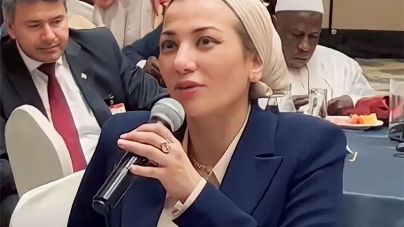 د.ياسمين فؤاد تدعو للتآزر وتوحيد الصوت الأفريقى بمؤتمرات المناخ