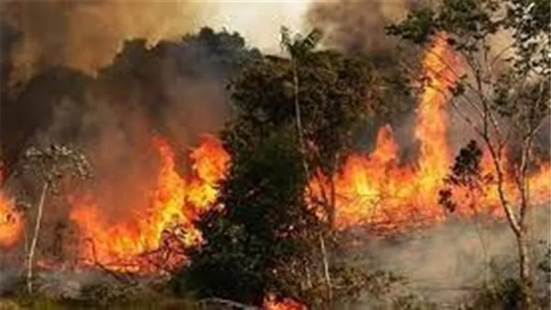 إعلان حالة الطوارئ جراء حرائق الغابات بالغرب الكندي