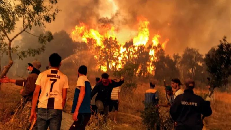 الجزائر: اندلاع 7 حرائق متفرقة في عدد من الولايات دون وقوع إصابات