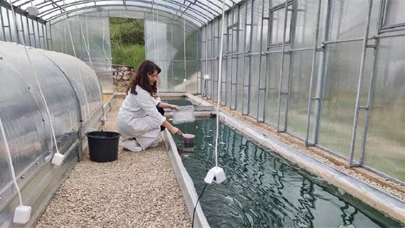 العلماء الروس 