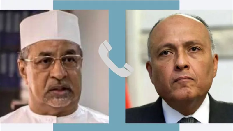 وزير الخارجية يبحث مع نظيره التشادي مخرجات الاجتماع الوزاري لدول جوار السودان