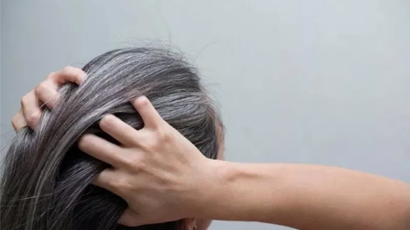 5 فوائد تقدمها الحناء للشعر