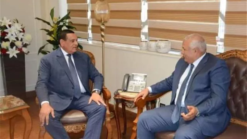 وزير التنمية المحلية ومحافظ الوادي الجديد يبحثان موقف المشروعات