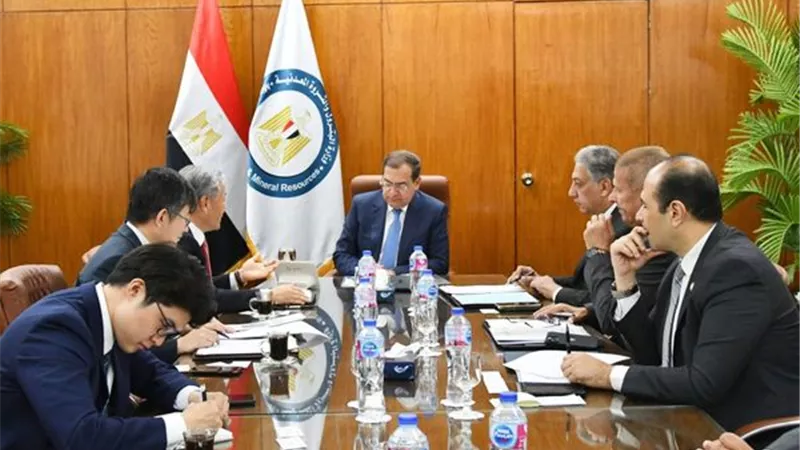 وزير التجارة: مهتمون بتنمية صناعة السيارات وتقديم حوافز كبيرة
