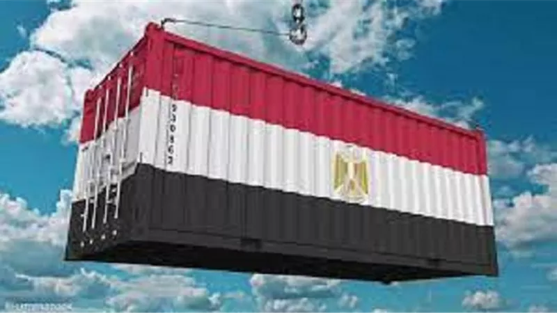 وهبة: مصر تعمل على توطين الصناعات التي تحتاجها السوق المحلية