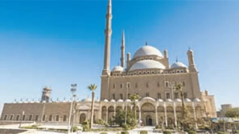 فعاليات 
