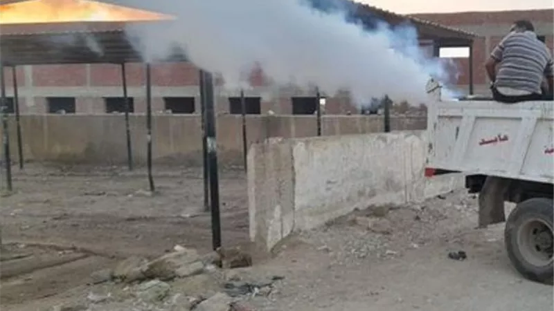 مكافحة البعوض و الحشرات في فايد بالإسماعيلية..صور