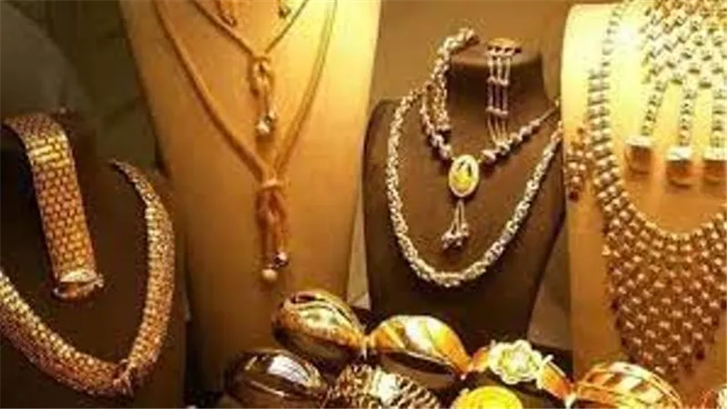 ليس الذهب والدولار .. أستاذ تمويل يكشف أفضل طرق الاستثمار الآمن