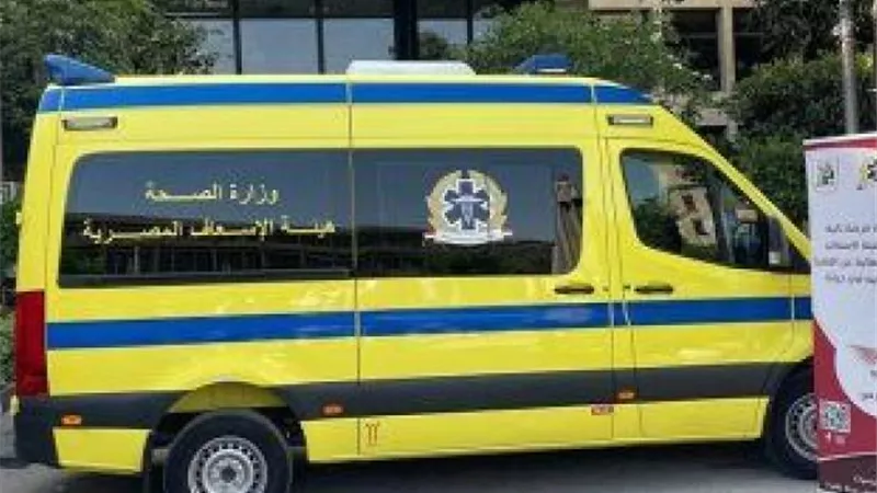 مصرع شخصين فى انقلاب سيارة نقل بالشرقية
