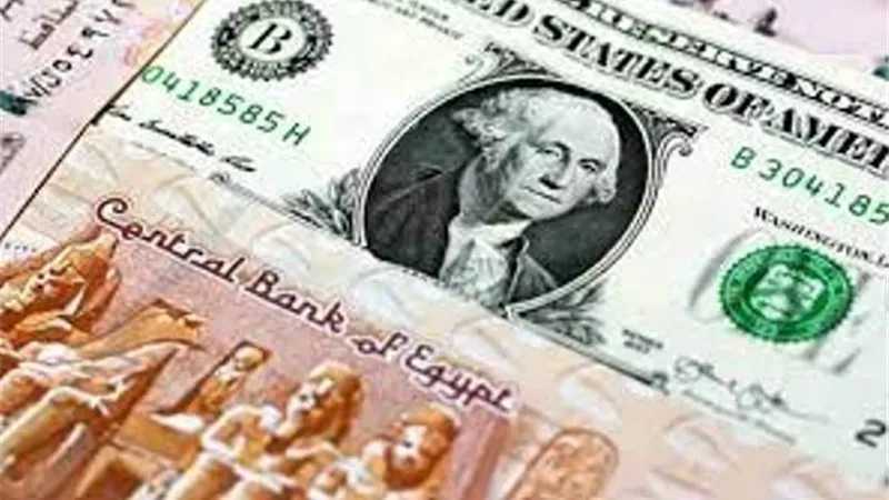 استقرار أسعار صرف الدولار مقابل الجنيه المصري