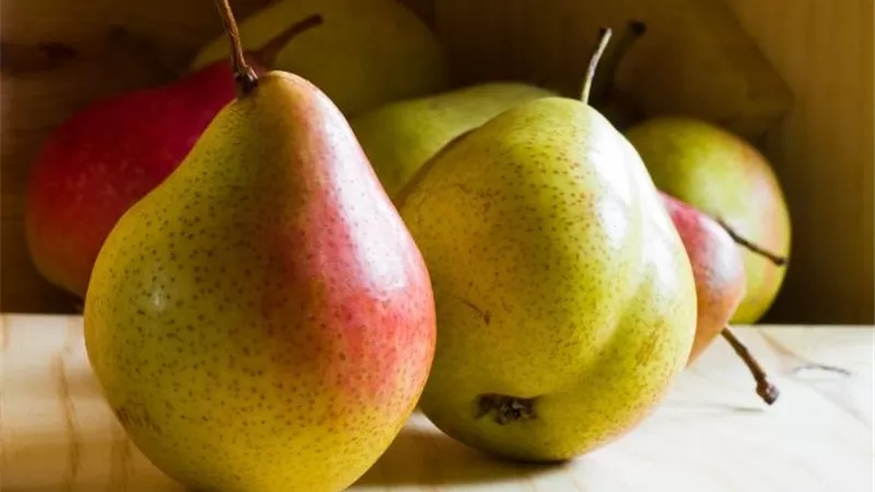 6 فوائد صحية مذهلة للكمثرى