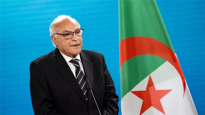 وزير الخارجية الجزائري: لن نتسامح مع انتهاك الديمقراطية في النيجر