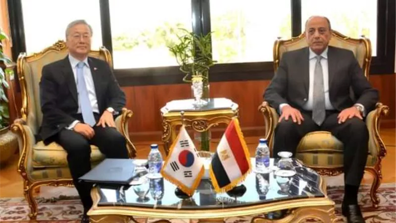 مصر وكوريا الجنوبية تبحثان تعزيز آليات التعاون في مجال الطيران المدني