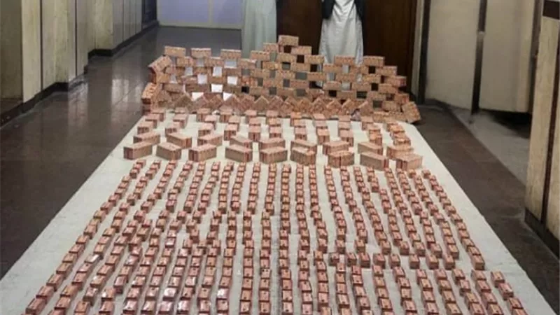 قيمتها 18 مليون جنية .. 182 ألف قرص ترامادول بحوزة عنصرين إجراميين بالإسكندرية