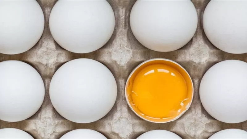 5 اسباب لفساد البيض فى المنزل